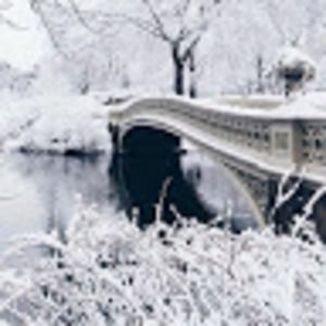 Meet your Posher, Roderick